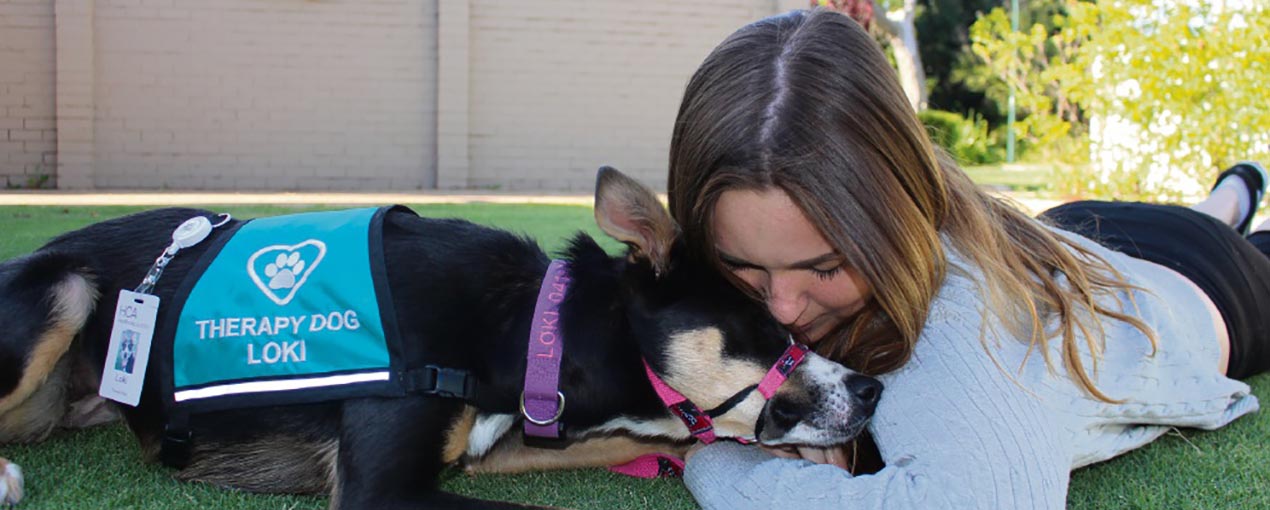 Loki and Tara Lord - Image by the Bryce Luff, Meville Times