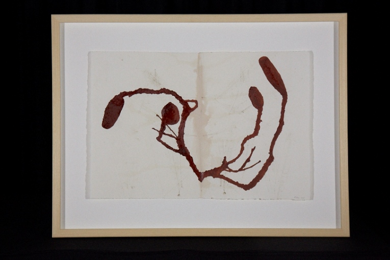 Holly Story  ‘Shadow Study 3’