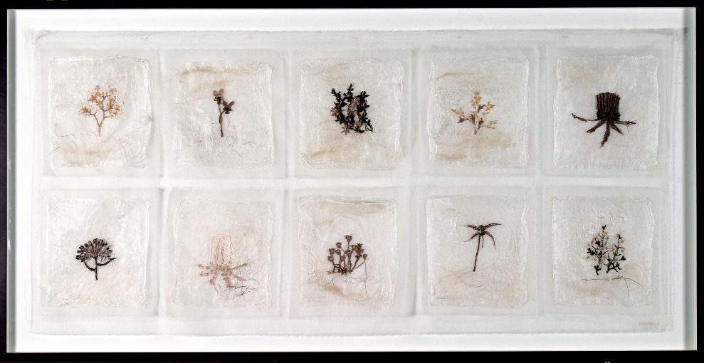 Lynne Franke  ‘Fragile Envionment’