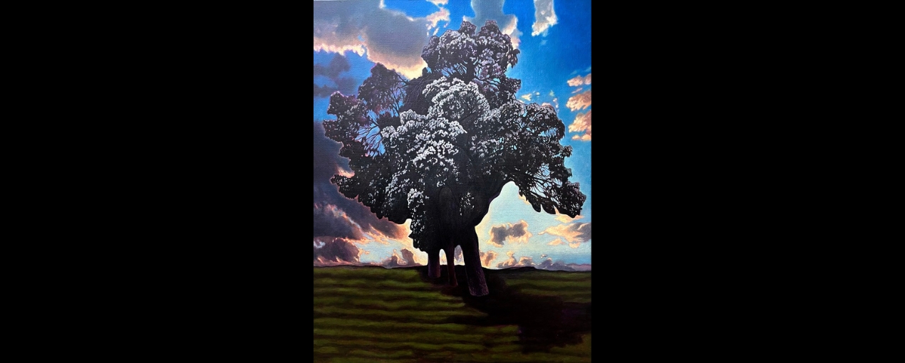 'Sanctity of the ordinary' by Robert Gear - Overall Award (Acquisitive)