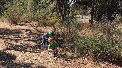 Bateman Bush Tucker