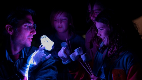 Cultural Plans and Strategies