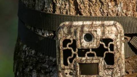 Loanable Wildlife Cameras