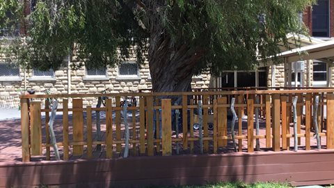Tree Deck Project