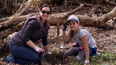 Volunteer Opportunities