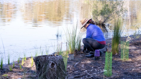 Water Quality