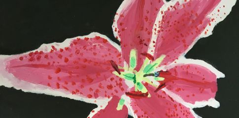 Term 1 2026 Course | Drawing and Painting with Bridget Seaton