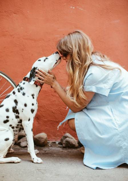 replacement dog registration tag