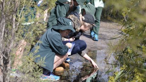 EcoHub and Piney Lakes Reserve Education Programs and Resources