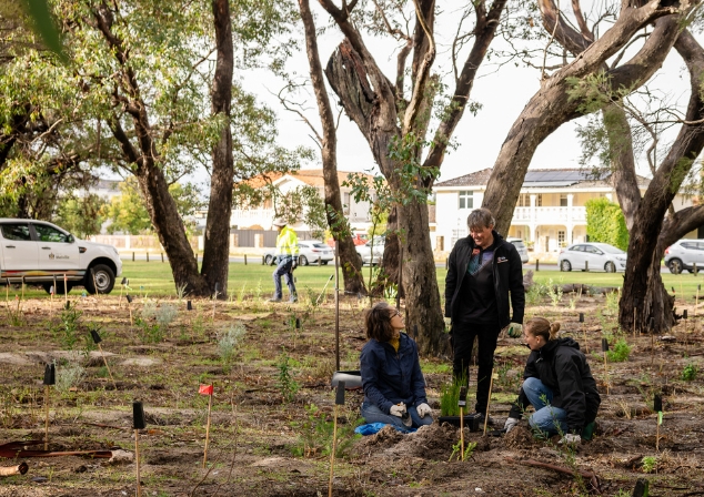 Three people planting tube stock plants in a regeneration area under established trees