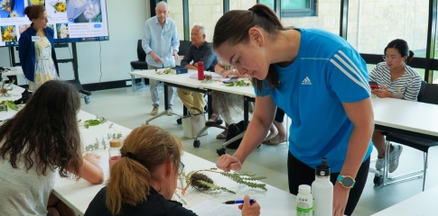 Lessons in Connection: Suzanna’s Journey as a Volunteer English Tutor