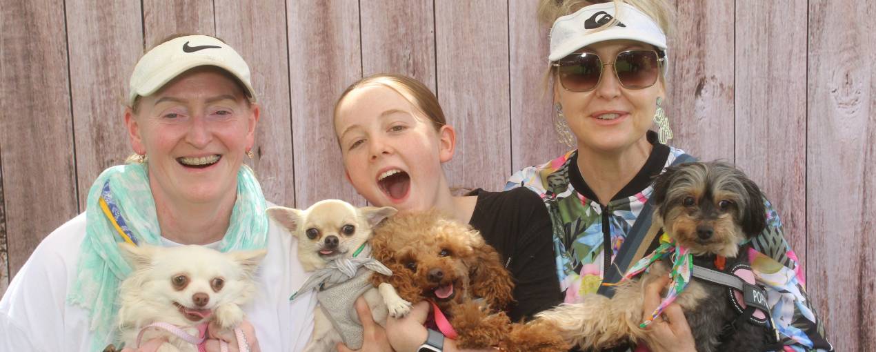 Pups in the Park 2024
