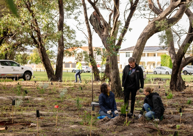 Three Melville staff members, two kneeling, one standing, planting small tube stock into an area of revegetated park land. 