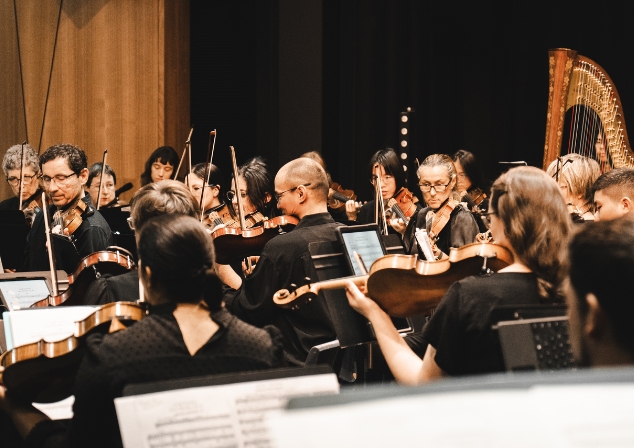 A section of the South Side Symphony Orchestra looking at their music, some playing, some ready to play with violins and harp.