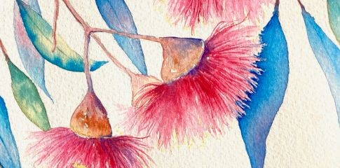 Term Course | Exploring Watercolours with Maureen Lipa
