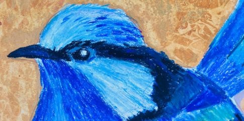 Term Course | Drawing and Painting with Bridget Seaton