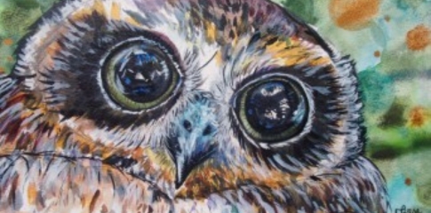 Birds in Perth | Liz Bozsa and Mia Wang