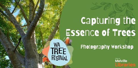 Capturing the Essence of Trees: Photography Workshop