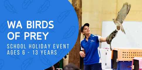 WA Birds of Prey - animal encounter and cast dissection (6 - 13yrs)
