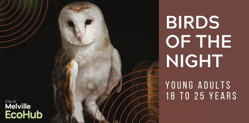 Birds of the Night (Young Adult 18 - 25 years)