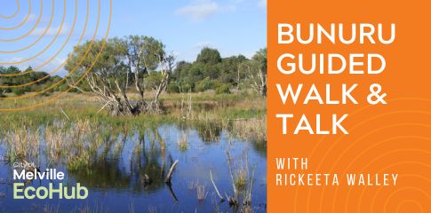 Bunuru Guided Walk & Talk