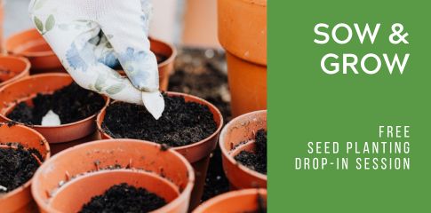 Sow & Grow