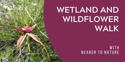 Wetland and Wildflower Walk
