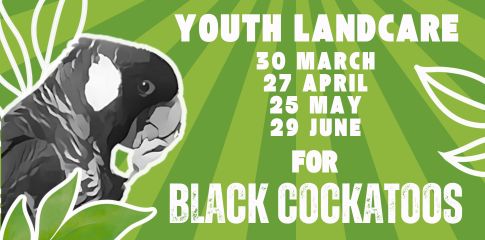 Youth Landcare for Black Cockatoos (16-25yrs)
