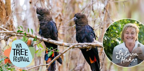 SOLD OUT - Fast food for Cockatoos - Urban Trees for Cockatoo Survival | WA Tree Festival