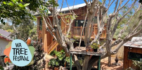 Inspired Infill | WA Tree Festival