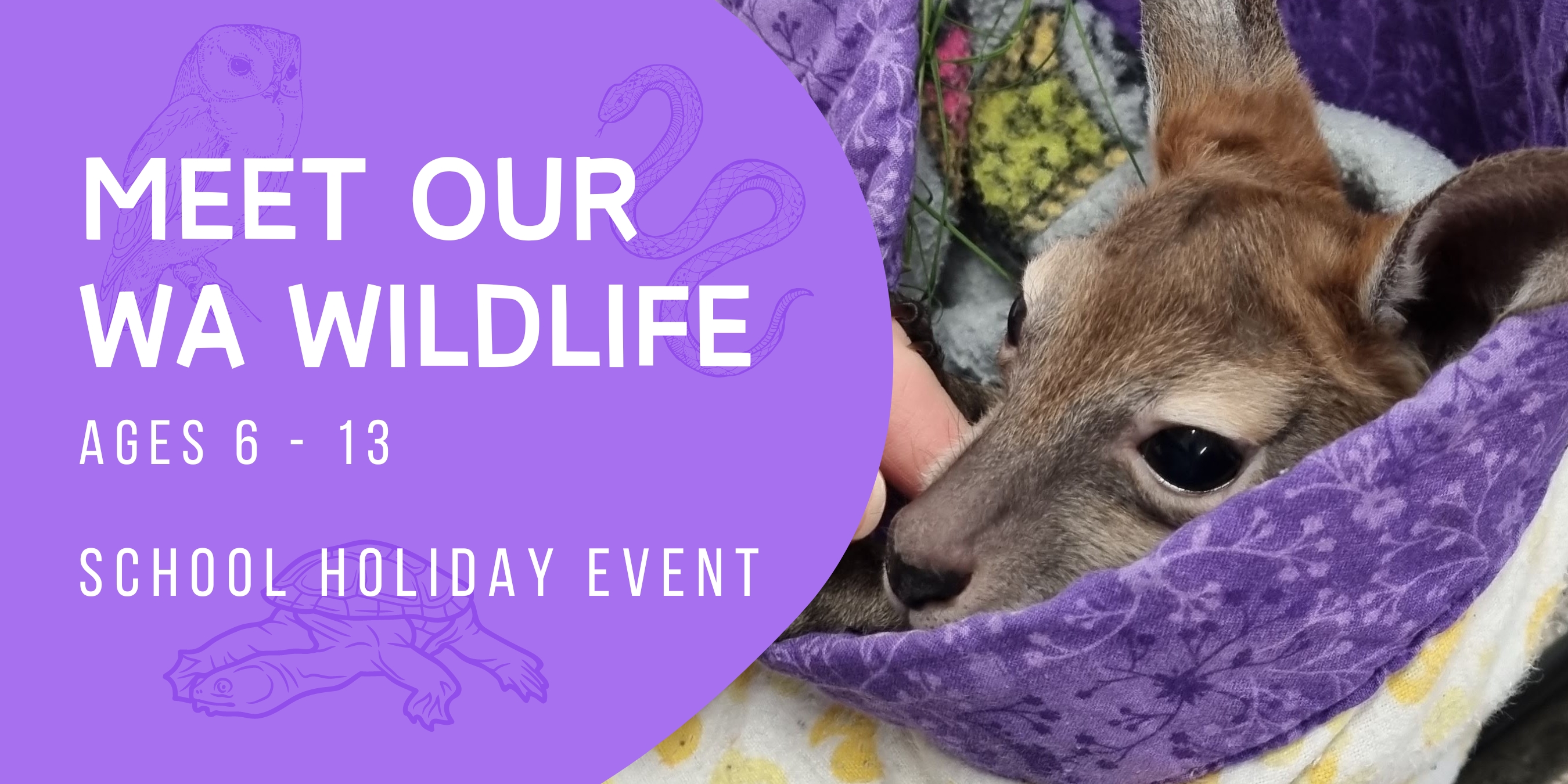 Meet & Greet WA Wildlife (6 - 13yrs)