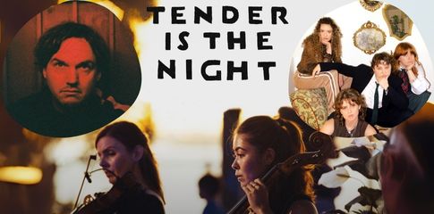 Tender is the Night | Peter Bibby + Smol Fish