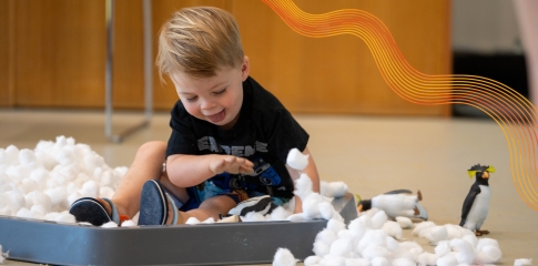 Sensory Search @ Wilgi Kaartdijin Mia Willagee Library