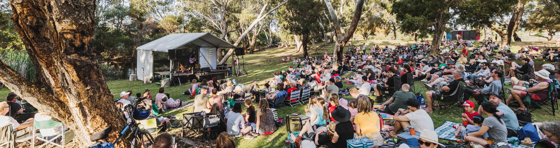 Cultural Plans and Strategies