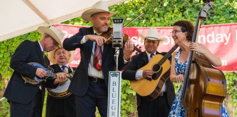 Melville Summer Music returns to Melville’s parks with soulful sounds and family-friendly events 