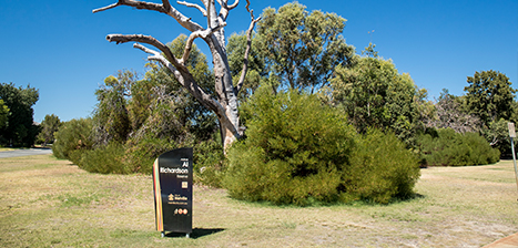 Al Richardson Reserve