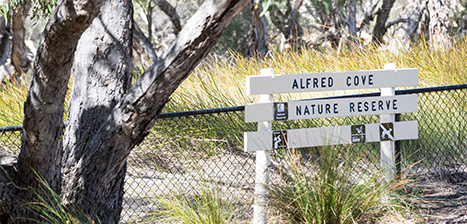 Alfred Cove Nature Reserve 