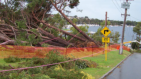 Local Emergency Management