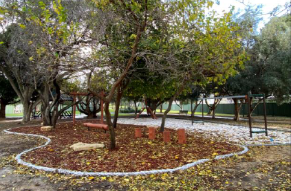 Emily-Main-Park.jpg