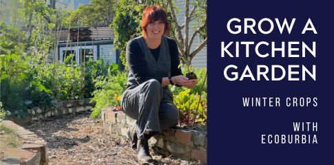 Image of a lady planting in the garden