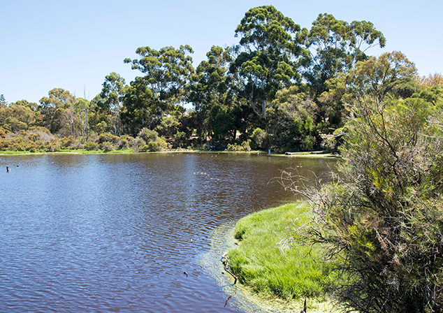 Picture of lake, trees and greenery surrounds