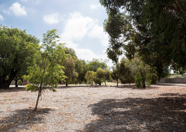 Bush land area with trees