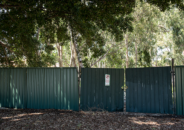 Bush land with green fence