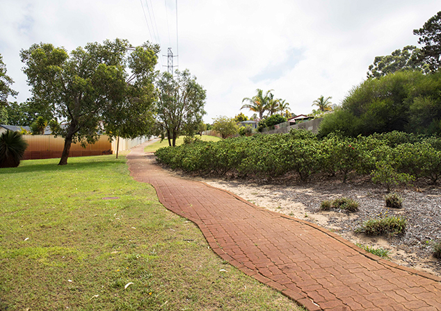 Photo of curved footpath on grass with foliage growing to the right.