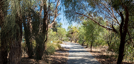 PJ-Hanley-Park_1.jpg