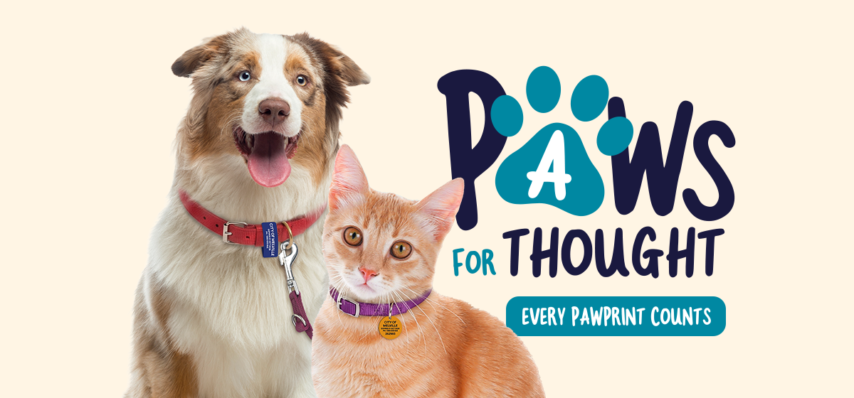 Image of a dog and a cat 