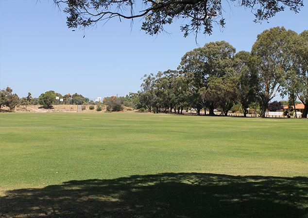 Bill Ellson lawn and trees view