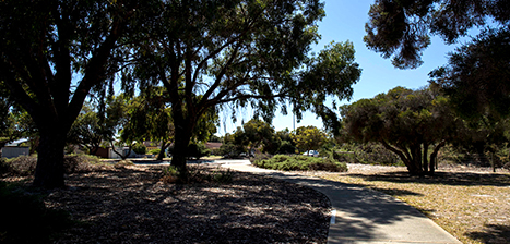 Douglas-Freeman-Park_1.jpg