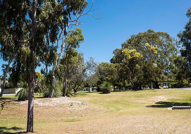 Photo of grassy area with trees and other foliage