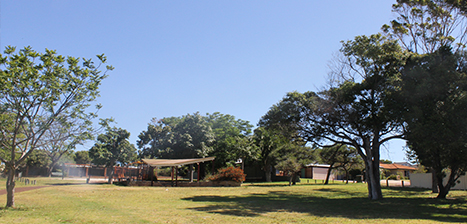 Joan-Williams-Park.jpg